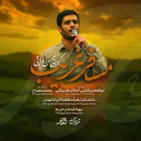 محسن عراقی