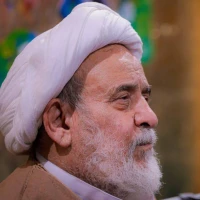 تصویر آیت الله شیخ حسین انصاریان - ویژگی‌های مومن از نگاه امیرالمومنین