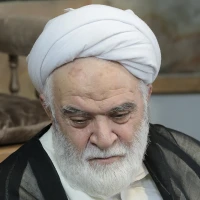 تصویر شیخ محمد باقر شریعت پناه - شنبه ۸ شهریور مسجد حضرت عباس (ع)