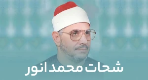 شحات محمد انور