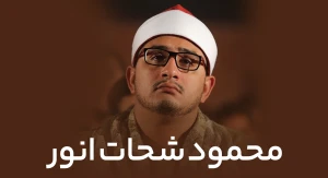 محمود شحات انور