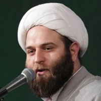 تصویر حجت الاسلام ناصر یوسفی - عملکرد ما در سیر الی الله