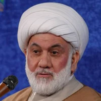 تصویر حجت الاسلام محمود ریاضت - شکر نعمت‌های خدا و ذکر فضائل اهل بیت (ع)