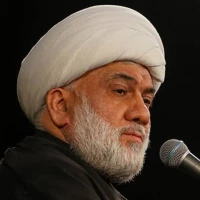 تصویر حجت الاسلام محمود ریاضت - توجه دادن محبین به اعمال واجب و مستحب (جلسه 8)