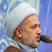 تصویر حجت الاسلام میرزامحمدی - سیره تاریخی پیامبر در دوران