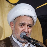 تصویر حجت الاسلام میرزامحمدی - اثرات روضه‌ی امام حسین (ع)