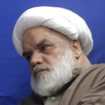 هدایت عمومی امام حسین با مصداق مصباح الهدی و سفینه النجاه (جلسه هشتم)