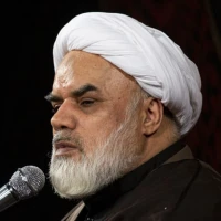 تصویر حجت الاسلام الهی - حضرت ام‌البنین (س) با مرامش بین اهل بیت (ع) جایگاه پیدا کرد
