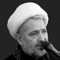 تصویر حجت الاسلام میرزامحمدی - علت روز عرفه در ادعیه