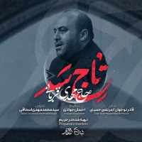سایر ذاکرین