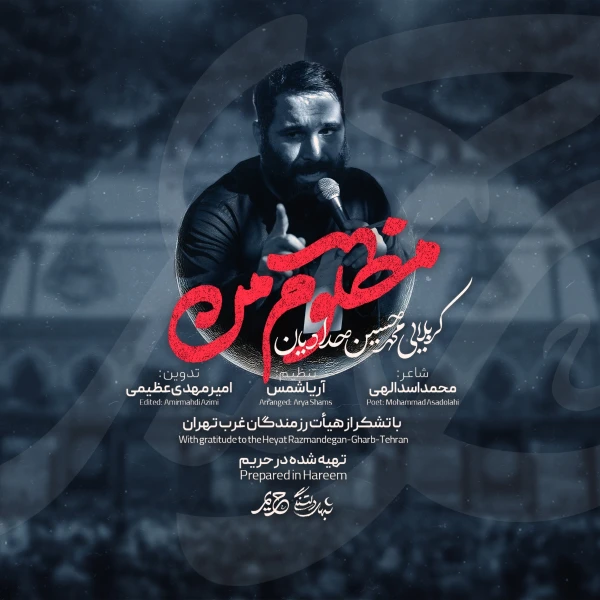 تصویر محمدحسین حدادیان - مظلوم من