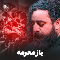 سید حجت بحرالعلومی