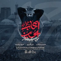 سید مجید بنی فاطمه