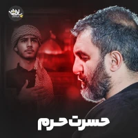 حمید علیمی
