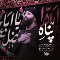 محمد امینی
