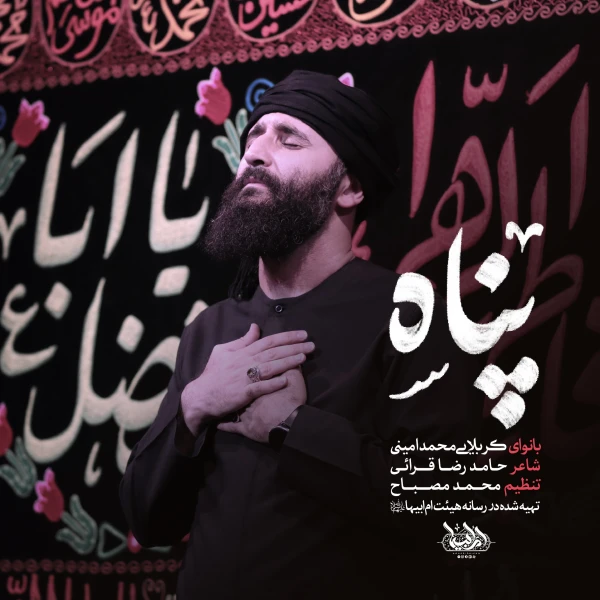 تصویر محمد امینی - پناه