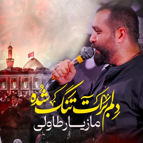 تصویر مازیار طاولی - دلم برات تنگ شده