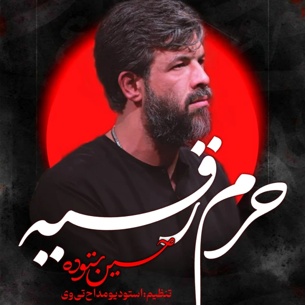 تصویر حسین ستوده - حرم رقیه