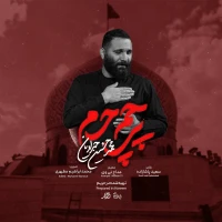 محمدحسین حدادیان