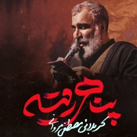 سایر ذاکرین