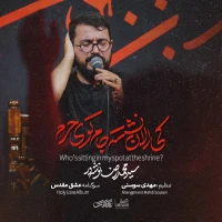 سید محمدرضا نوشه‌ور