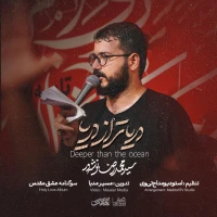 سید محمدرضا نوشه‌ور