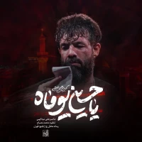 حسین ستوده