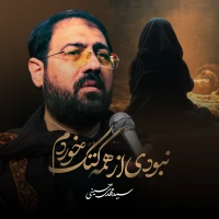 سید مهدی حسینی