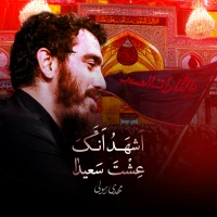 مهدی رسولی