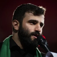 سید مصطفی میرداماد