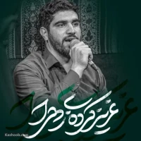 تصویر سایر ذاکرین - عزیز کرده زهرا