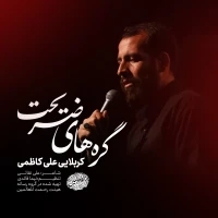 سایر ذاکرین