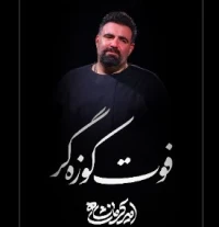 تصویر امیر کرمانشاهی - فوت کوزه گر