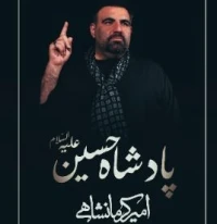 تصویر امیر کرمانشاهی - پادشاها مَلَکا سلطانا شَهَنشاها