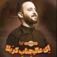 وحید شکری