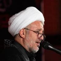 در ضریحش بهشت جا دارد