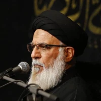 شب شهادت امام جواد (ع)