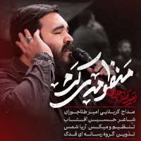امیر طلاجوران