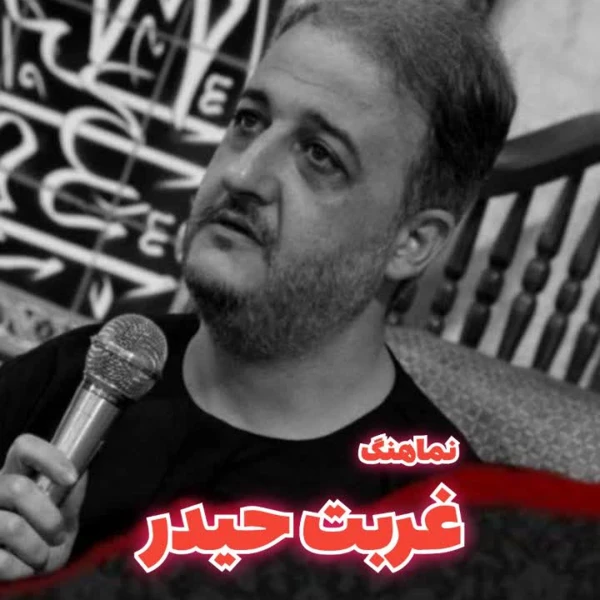 تصویر سایر ذاکرین - غربت حیدر