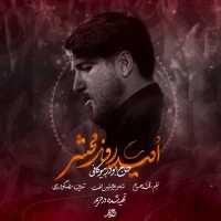 ابوذر بیوکافی