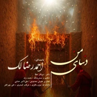 سایر ذاکرین