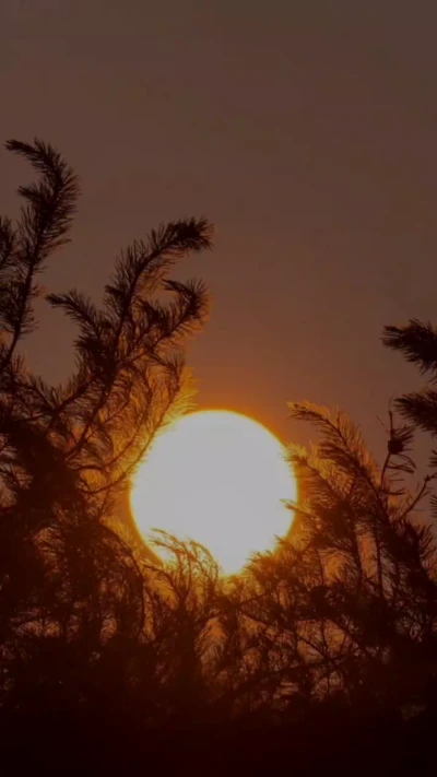 سوره شمس 2