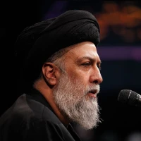 تصویر حجت الاسلام علوی تهرانی - برنامه عبادی - جلسه 14