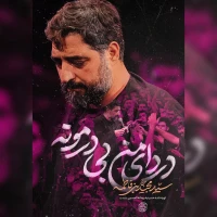 سید مجید بنی فاطمه