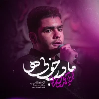 سایر ذاکرین