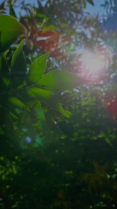 سوره انعام 2