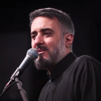 تصویر محمدحسین پویانفر - درد از ذوالفقار حیدر