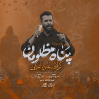 سایر ذاکرین