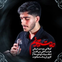 سایر ذاکرین