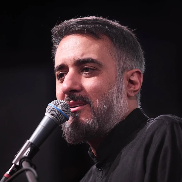 تصویر محمدحسین پویانفر - سید علی مسافر کرب و بلا شد